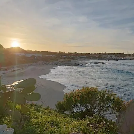 Villa 8 Personnes Entre L'ile Rousse Et Calvi Avec Piscine.