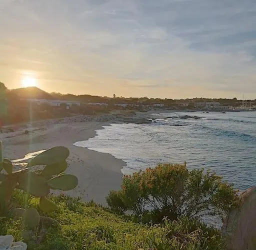 Vila 8 Personnes Entre L'ile Rousse Et Calvi Avec Piscine.